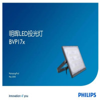 飞利浦LED投光灯BVP176 LED220 200W 6500K 白光