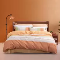 水星家纺 DH时光浅影-S04(抗菌)全棉四件套 50cm×200cm/套