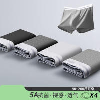 男士内裤男莫代尔运动四角平角宽松大码男生中腰冰丝男式裤头裤衩 灰 XL(建议110-135斤)