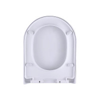 派智达(PAIZHIDA) PZD-ZBG 马桶盖板