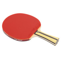 红双喜DHS狂飚四星乒乓球拍 横拍H4002