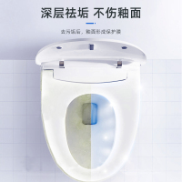 蓝漂我爱我家362630洁厕剂2瓶经典实用