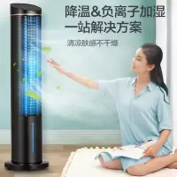 格力空调扇冷风扇遥控制冷小空调扇卫全行办公移动电扇节能省电加湿负离子单冷风扇 KS-06S61Dg(货期3-6天)