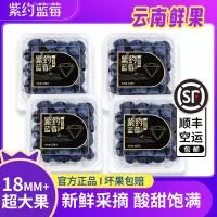 [苏鲜生推荐]顺丰快递 云南紫约蓝莓 个头饱满 4盒 单果18mm+ 125g/盒 口感甜蜜 宝宝辅食