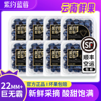 [苏鲜生推荐]顺丰快递 云南紫约蓝莓 个头饱满 8盒 单果22mm+ 125g/盒 口感甜蜜 宝宝辅食