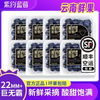 [苏鲜生推荐]顺丰快递 云南紫约蓝莓 个头饱满 8盒 单果22mm+ 125g/盒 口感甜蜜 宝宝辅食