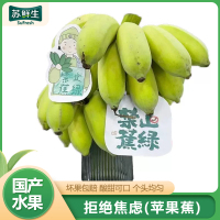 卡片随机[苏鲜生]新鲜小米蕉 禁止蕉绿 4斤 2-3把 新鲜当季水果 香甜软糯 办公桌绿植