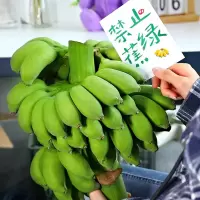 不送卡片[西沛生鲜]新鲜苹果蕉 禁止蕉绿 净重7-9斤 新鲜当季水果 香甜软糯 办公桌绿植