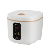 艾贝丽智能电饭煲ABL-FBZ23白色 2L