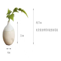 矮文竹花瓶摆件 不规则圆瓶与1枝小文竹