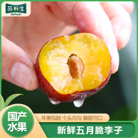 [苏鲜生]四川脱骨李子五月脆 1斤 小果 凤凰李大果当季鲜果孕妇新鲜水果整箱