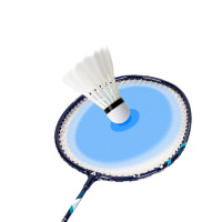 得力安格耐特F2108羽毛球拍(蓝+红)(2个副)