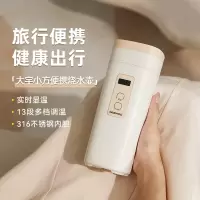 大宇(DAEWOO)电烧水杯D9