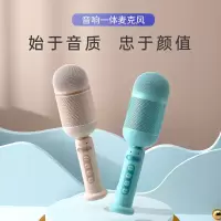 颐电 嗨歌唛克风 AD-3703/粉色