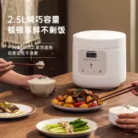 大宇(DAEWOO) 电饭煲FB10