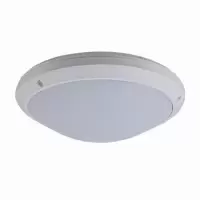 顶火 GMD9301-12W. LED吸顶灯 1.00 台/个 (计价单位:个) 白色