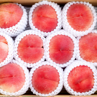 渔礼记现摘现发时令水果突围水蜜桃阳山水蜜桃5斤套装果期短拍前咨询