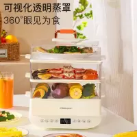 荣事达(Royalstar)电蒸笼RS-ZG100A