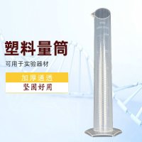 250ml塑料刻度量筒 透明耐酸碱量杯实验教学仪器密度计试管计量杯 单位/个