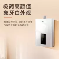 名气燃气热水器JSQ31-R5A36-16