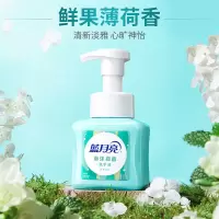 蓝月亮抑菌泡沫洗手液 鲜果薄荷255g