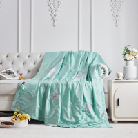 红蜻蜓夏凉被-花溪 HQT-4014