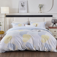 红蜻蜓时尚全棉四件套-时光集 HQT-1011