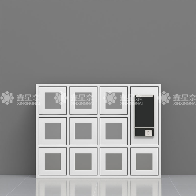 鑫星奈XXN4031501 智能手机柜存放柜手机设备寄存柜 10门