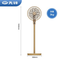 先锋(SINGFUN)落地蒲扇 DPS-P1RC香槟金