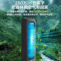 格力冷暖两用一体机风扇卫全行负离子加湿4升水箱定时冷暖两用远程遥控塔扇 KS-04S66RDg(黑)(货期3-6天)
