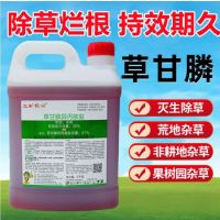 绿化园艺草甘膦41%41%含量 单位/桶