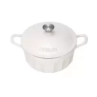 德世朗(DESLON)DFS-T861CNW禾味珐琅焖炖锅24cm