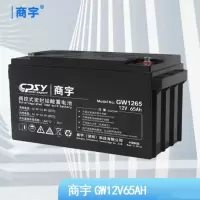 商宇(CPSY)UPS不间断电源电池GW12V65AH