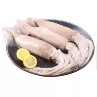 冻鱿鱼 kg