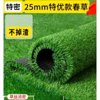 仿真草坪人造人工草皮草坪绿色地毯地垫户外假草塑料草坪 25mm特优款春草(1米宽x5米长)