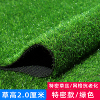 仿真草坪人造人工草皮草坪绿色地毯地垫户外假草塑料草坪 2.0厘米[特密款]抗老化 5平方 2*2.5米