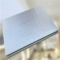 厚玖 阳光房玻璃屋顶隔热板 2cm-阻燃(1.2*0.6米)单面铝(单位:张)