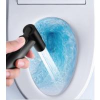黑色马桶喷水龙头冲洗器喷头厕所卫生间水伴侣妇洗器高压增压喷枪-【D1】亮银喷枪+免打孔支架+1.5伸缩管