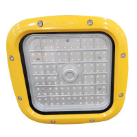 深圳尚为(SEVA)SZSW8210-100F  防爆LED泛光灯