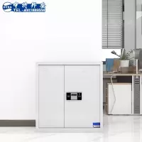 保险柜 中特邦安 ZT-BXG05 双开门 密码
