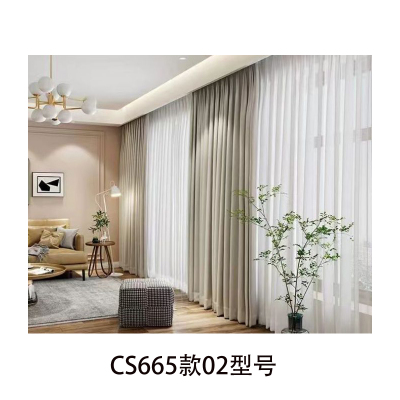 佳品文仪CS665款02型号新款卧室客厅全屋双层带纱定制全遮光窗帘(每平方价格)