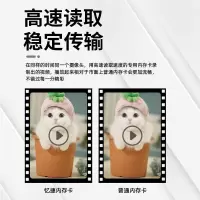 忆捷 EAGET TF(MicroSD)存储卡 红牛卡 256GB