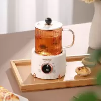 大宇养生杯Y01
