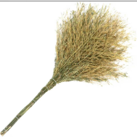 宝杰顿(BAOJIEDUN) 大扫把院子户外环卫大号笤帚/个