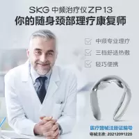 艾诗凯奇(SKG)ZP13中频治疗仪