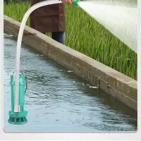 (deli)220V小型污水泵家用抽水泵高扬程农用抽水机大流量灌溉排污潜水泵