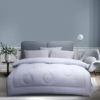 水星家纺 DH悠然负离子四季被200cm×230cm/条