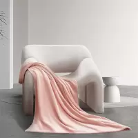 水星家纺 DH菠萝格毛巾毯100cm×140cm/条