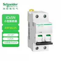 施耐德空气开关A9系列IC65N小型断路器2P双进双出 C型25A 空开总闸开关A9F18225