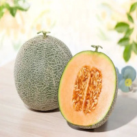 哈密瓜一批cq(12.2元/kg*9.5kg)